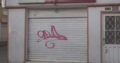 MEGA POLLO CALLE 67 MEGA POLLO CALLE 67